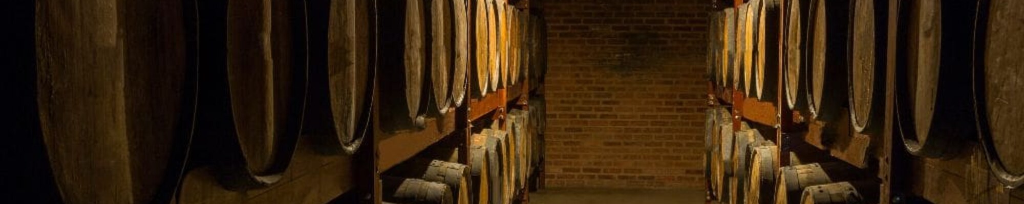 close up of rum barrels in a cellar