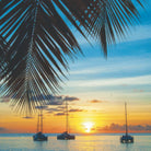 Mustique sunset with palm trees and sailing boats