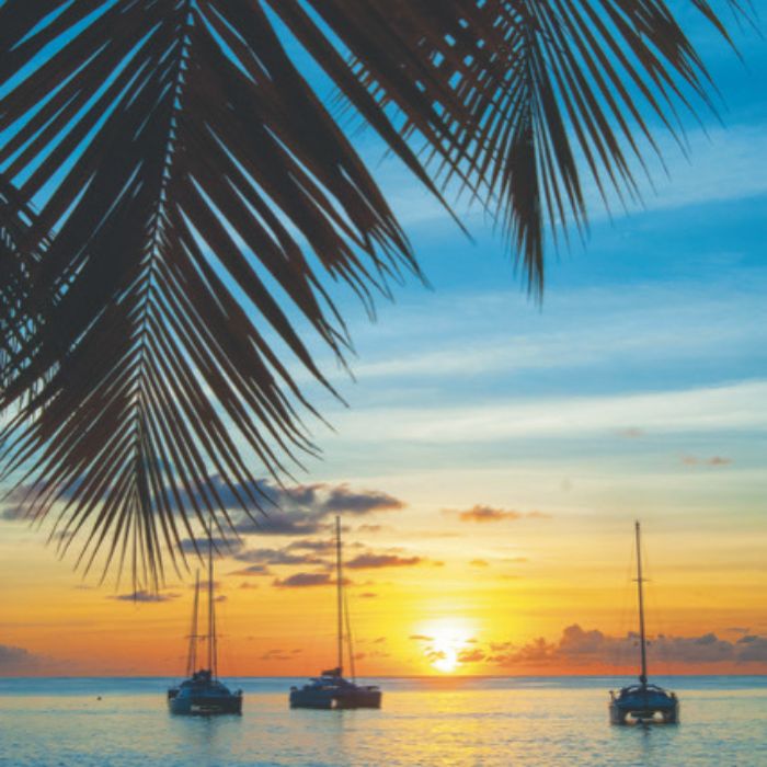 Mustique sunset with palm trees and sailing boats